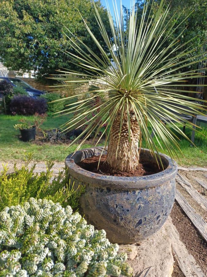 Le Banellou Bed & Breakfast Quimper Luaran gambar