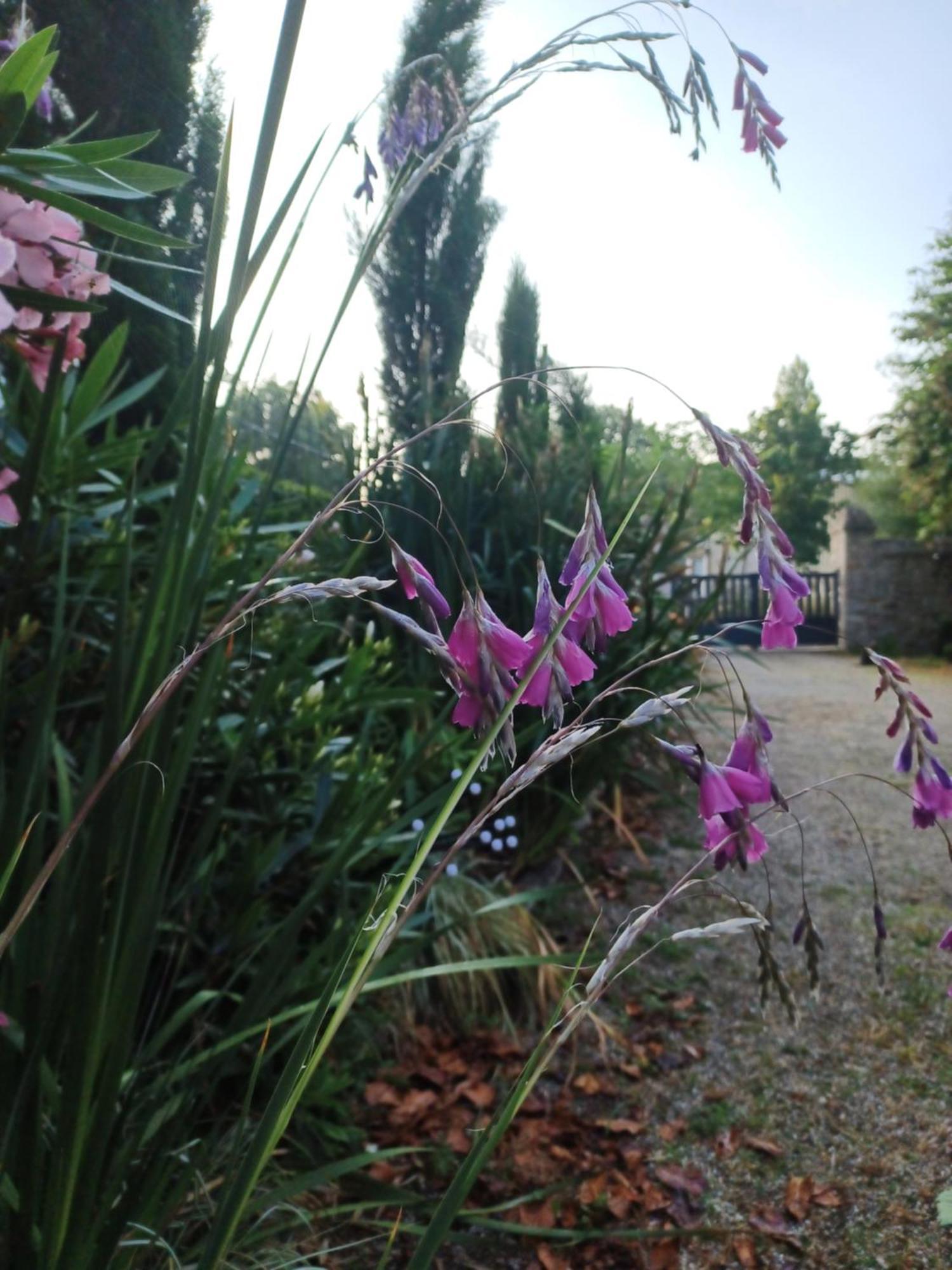 Le Banellou Bed & Breakfast Quimper Luaran gambar