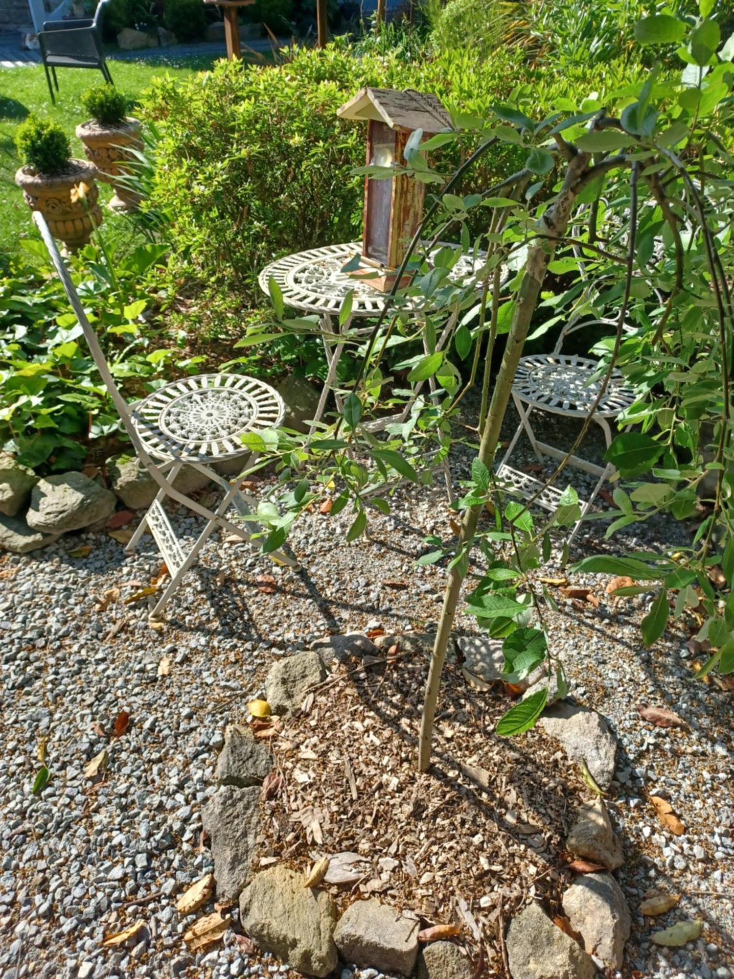 Le Banellou Bed & Breakfast Quimper Luaran gambar