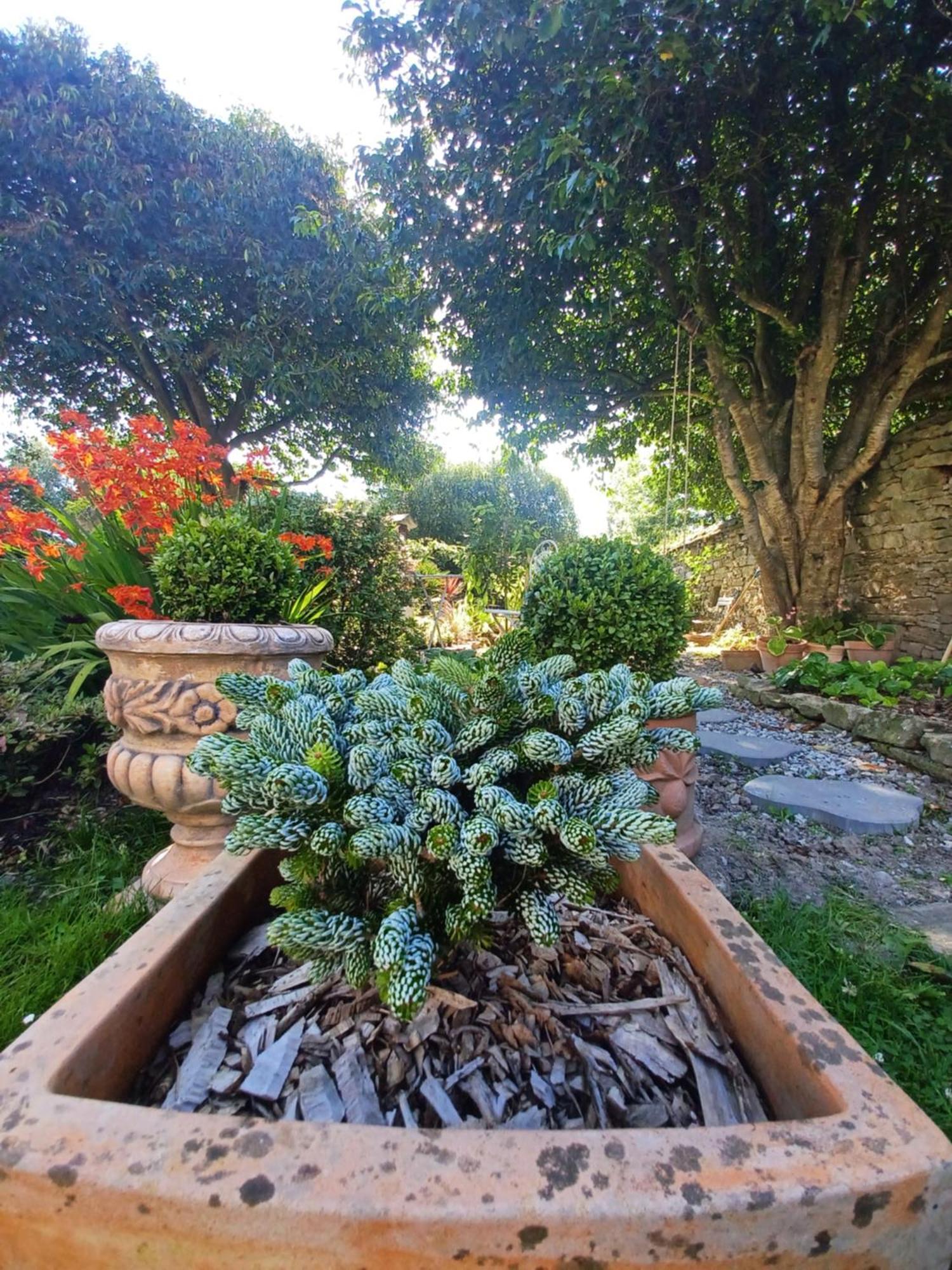 Le Banellou Bed & Breakfast Quimper Luaran gambar