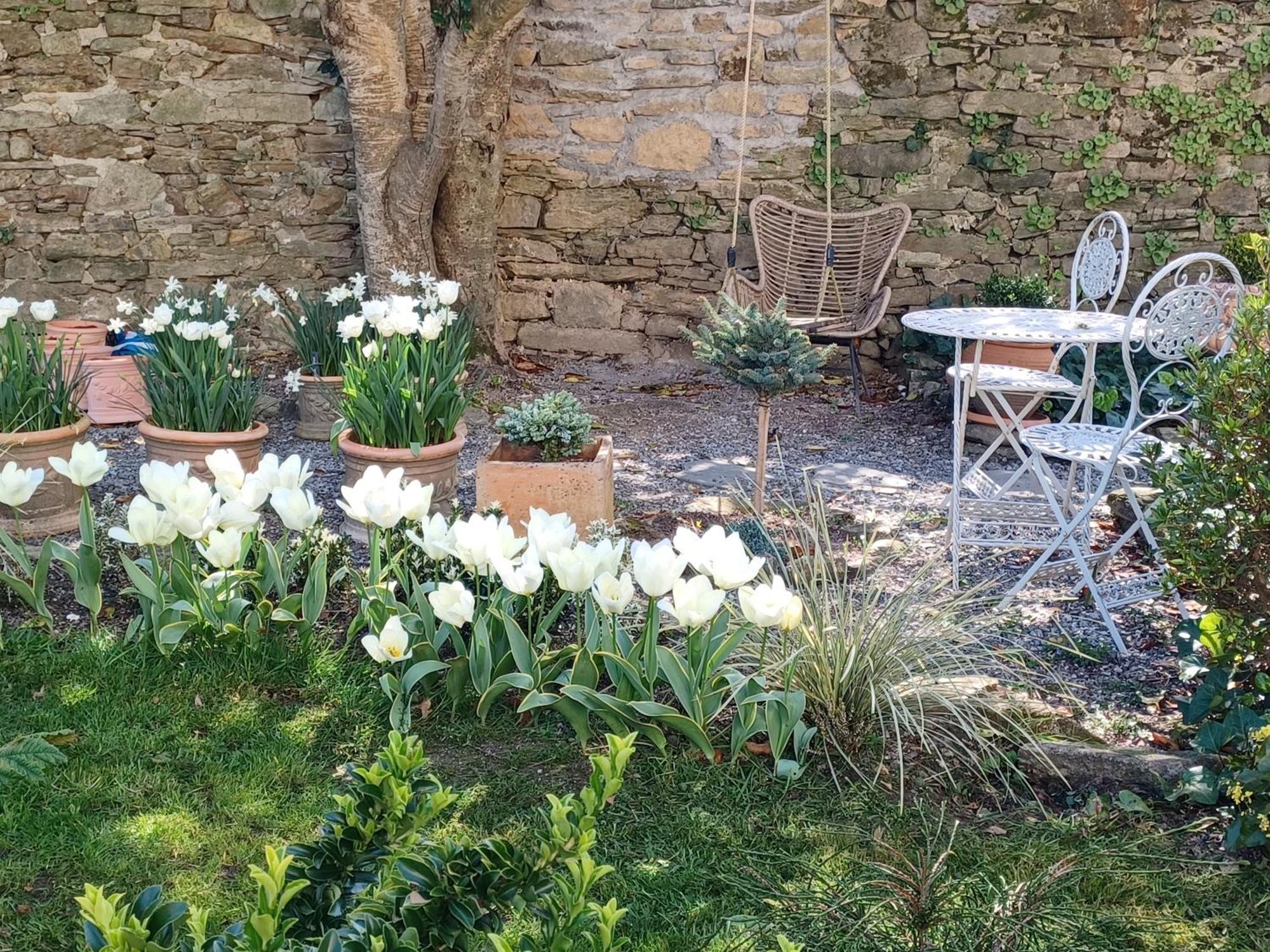 Le Banellou Bed & Breakfast Quimper Luaran gambar