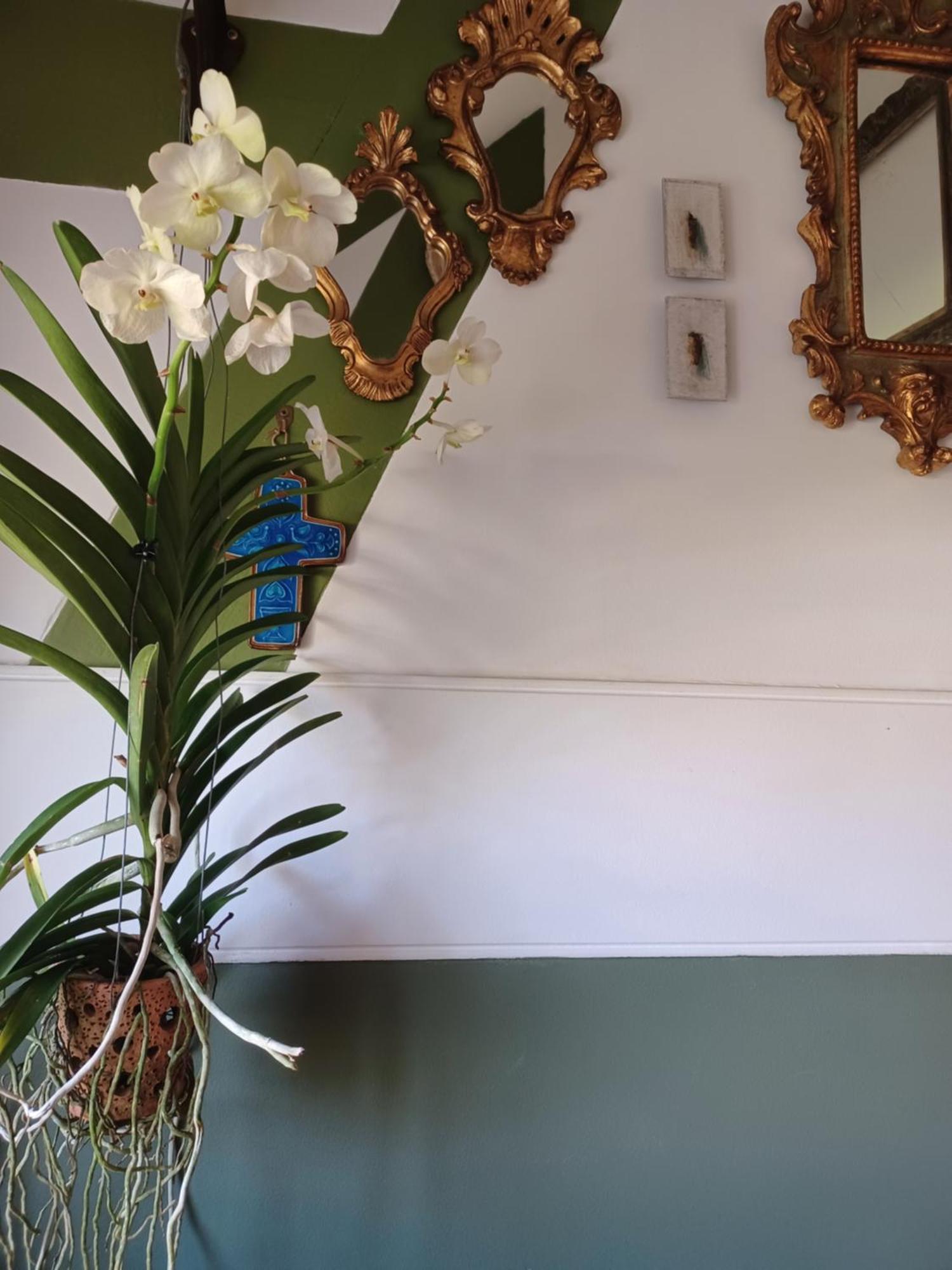 Le Banellou Bed & Breakfast Quimper Luaran gambar